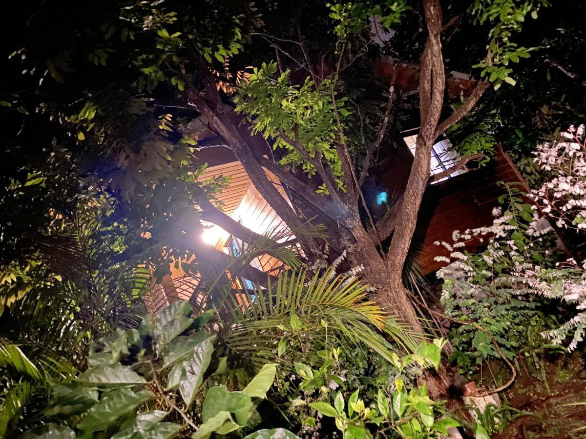 Chalet Pittoresque A Le Tampon, Vue Mont. Exterior foto