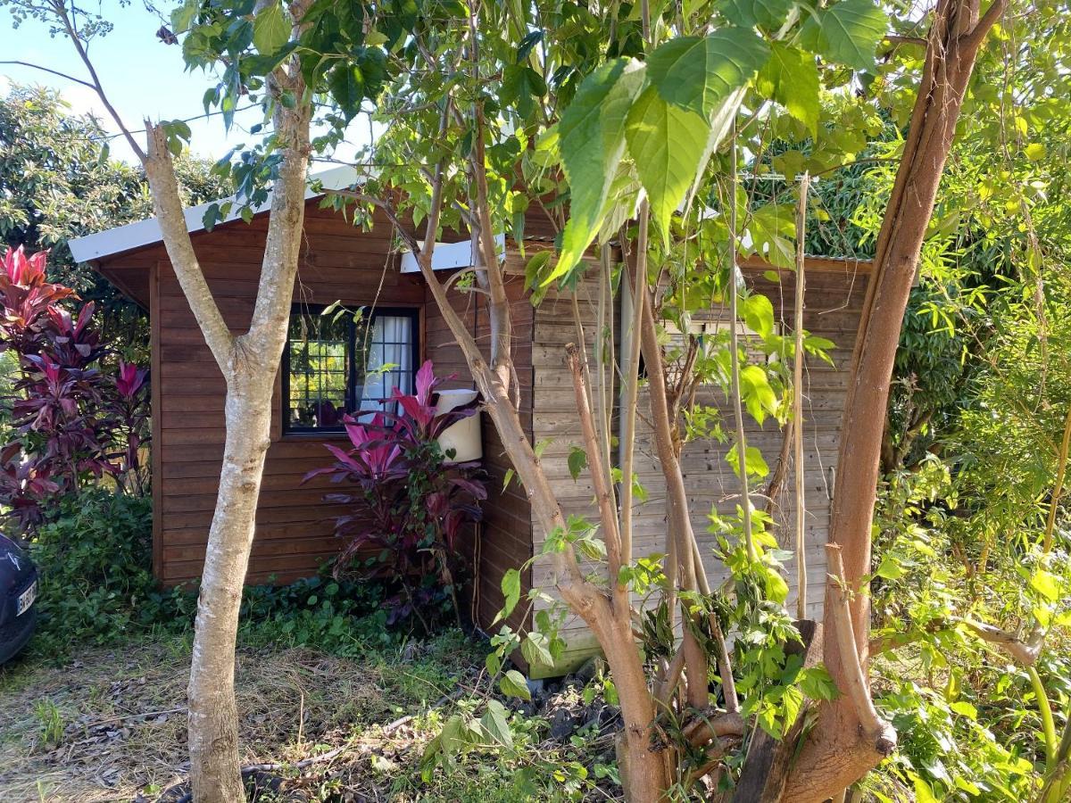 Chalet Pittoresque A Le Tampon, Vue Mont. Exterior foto